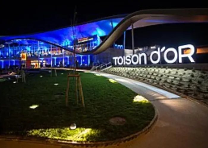 Toison D'or Appartamento Digione